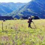 66a9e0e5a327166a9e0e5a3272172240918966a9e0e5a326f66a9e0e5a3270