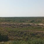 WhatsApp Image 2024 07 22 at 16.48.15 720x642