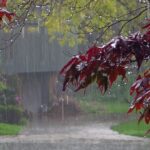 B5289a1d d1b0 3c02 9630 4ffde97a7432