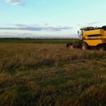 F177cc14 1853 3c86 a65d 714e3bc2a6b0