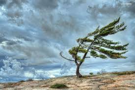 Indir 2024 07 12T163949.931