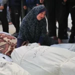 66c1d52ad374166c1d52ad3742172397905066c1d52ad373f66c1d52ad3740