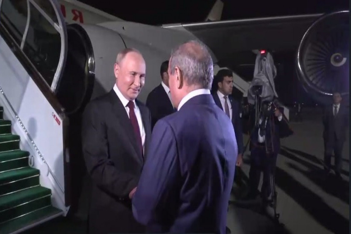 66c22a81e46d466c22a81e46d5172400089766c22a81e46d266c22a81e46d3