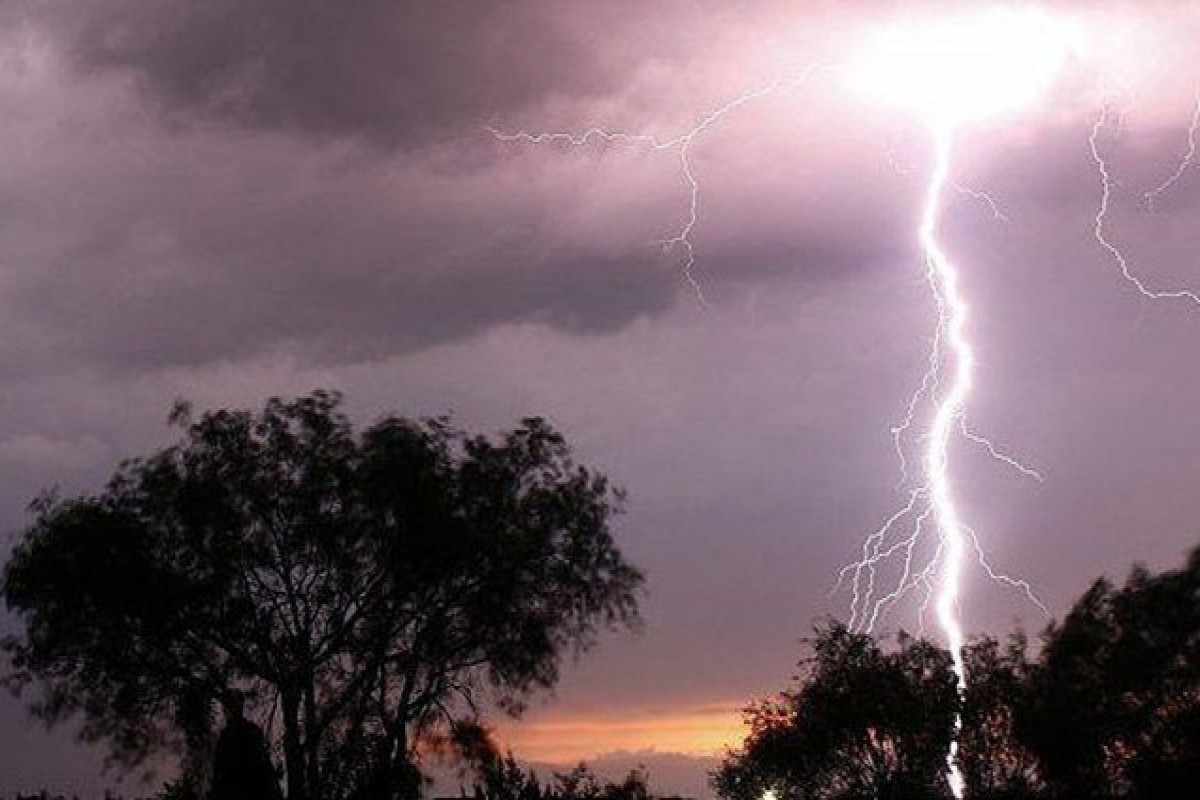 66cc0e6cda3a066cc0e6cda3a1172464906866cc0e6cda39e66cc0e6cda39f