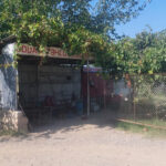 66cd7bd244d5566cd7bd244d56172474261066cd7bd244d5366cd7bd244d54 (1)