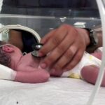 B54a6762 1762 393c acb1 c5a31a344261