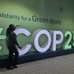 Cop29 esas