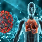 67878dded531e67878dded531f173693692667878dded531c67878dded531d