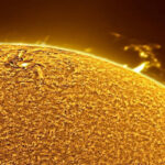 6797429e79e946797429e79e9517379662386797429e79e926797429e79e93