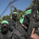 9225e504 91df 3eec b0c7 91c40b94c172