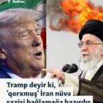 Photo 5287253704182985627 Y