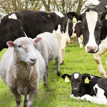 67d3f189eb0f067d3f189eb0f1174194317767d3f189eb0ee67d3f189eb0ef