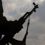 67d44431c814367d44431c8144174196433767d44431c814167d44431c8142