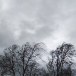 7ef44aa8 Dda4 3978 Ad15 80a007131d73 850