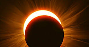 Indir 2025 03 29t091722.003