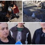 Photo 5386688639536327365 Y