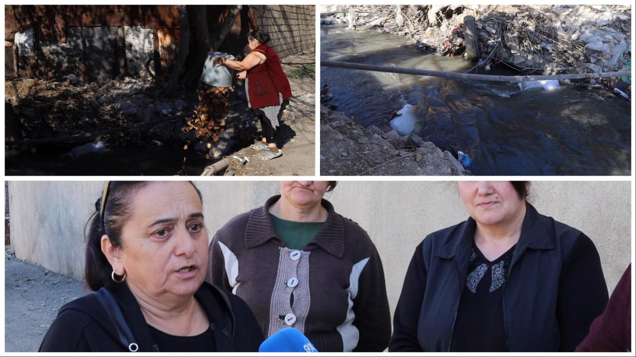 Photo 5386688639536327365 Y