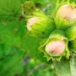 Indir 2025 04 14t163930.235