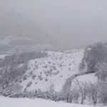 Indir 2025 04 15t104438.086