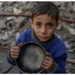 Indir 2025 04 21t082223.149