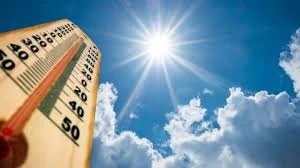 Images 2025 05 25t170806.266