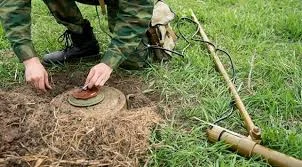 Images 2025 05 26t153003.896