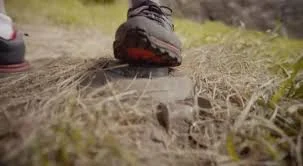 Images 2025 05 29t134054.663