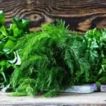 Indir 2025 05 10t162342.128