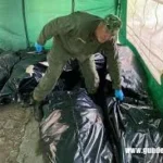 Indir 2025 05 16t165124.216