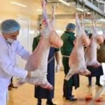 Indir 2025 05 24t092042.020