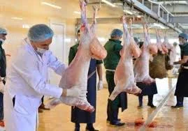 Indir 2025 05 24t092042.020