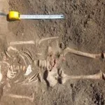 Indir 2025 05 26t101352.273