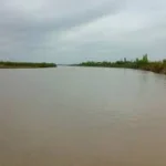 Indir 2025 05 31t103610.483