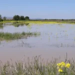 Photo 5249097133120941580 y