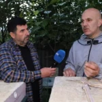 Photo 5294453100163233178 y