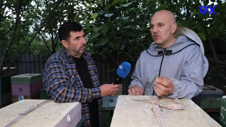 Photo 5294453100163233178 y