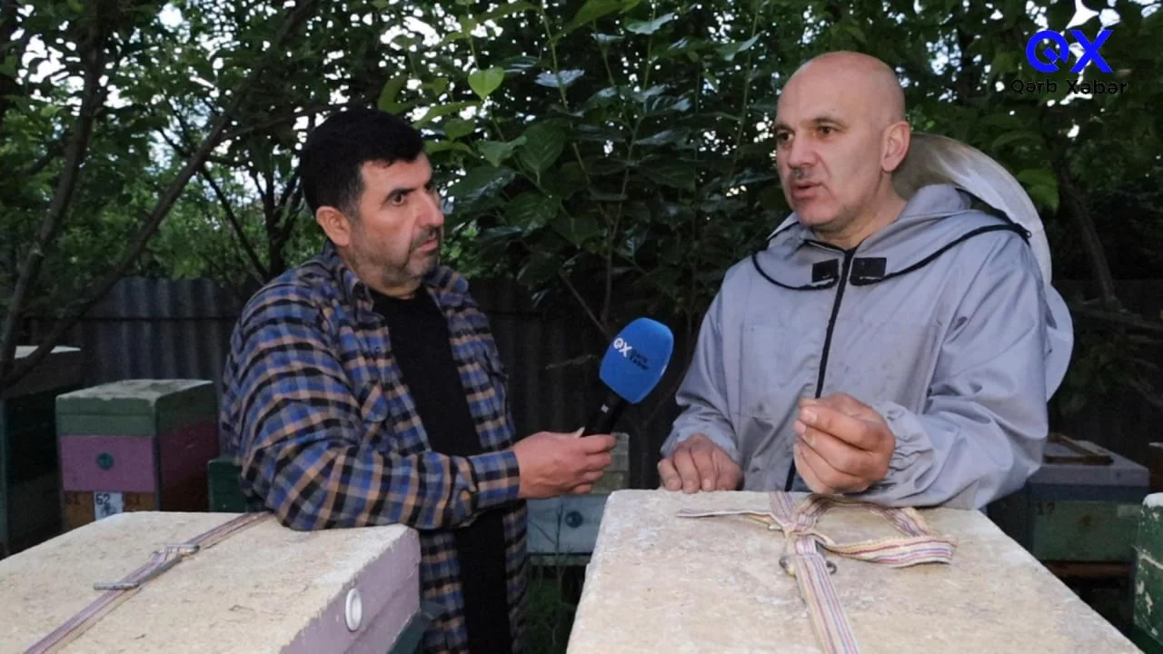 Photo 5294453100163233178 y