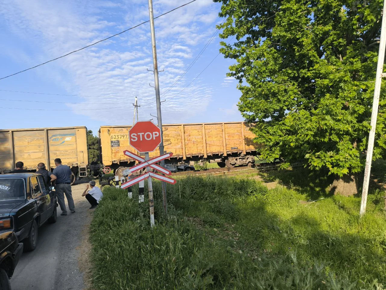 Photo 5296497663509917387 y