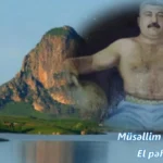 Photo 5314764279678890492 y