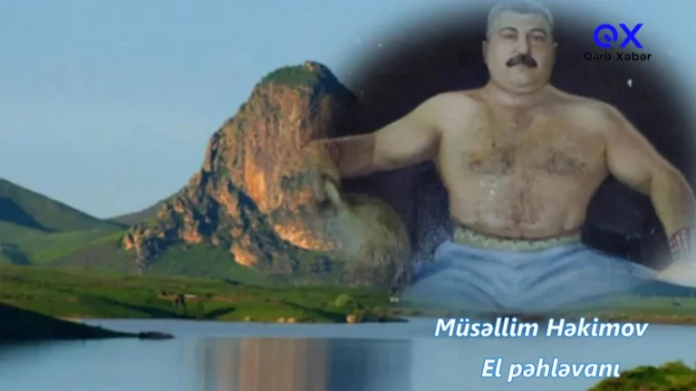 Photo 5314764279678890492 y