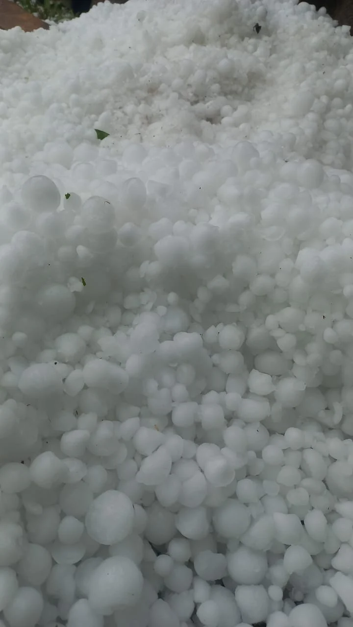 Whatsapp image 2025 06 15 at 16.19.07