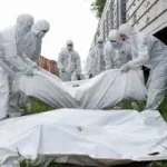 Indir 2025 06 03t084730.716