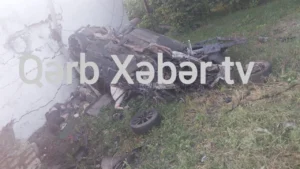 Photo 5334909823780779662 y