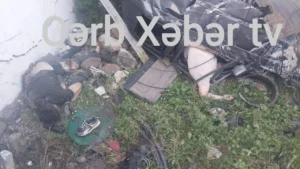 Photo 5334909823780779663 y