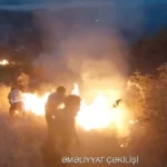 832c9a04 b782 3af1 a0f5 f440bfe5576a 850