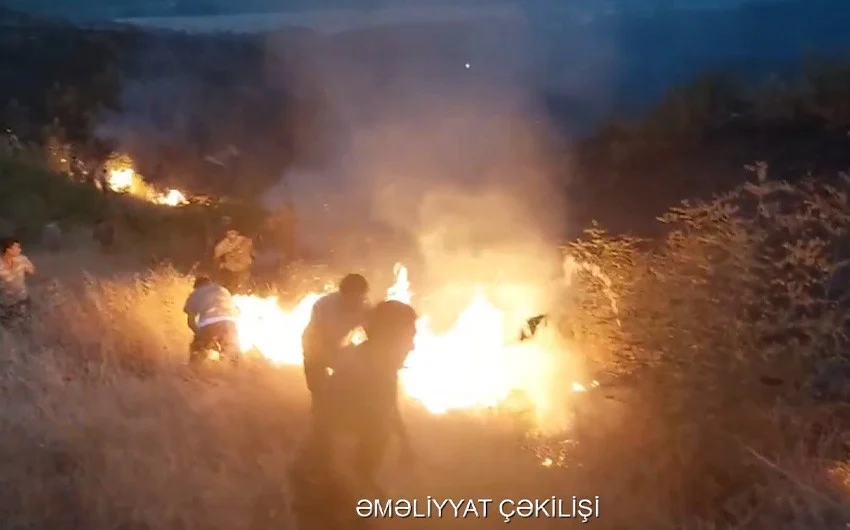 832c9a04 b782 3af1 a0f5 f440bfe5576a 850