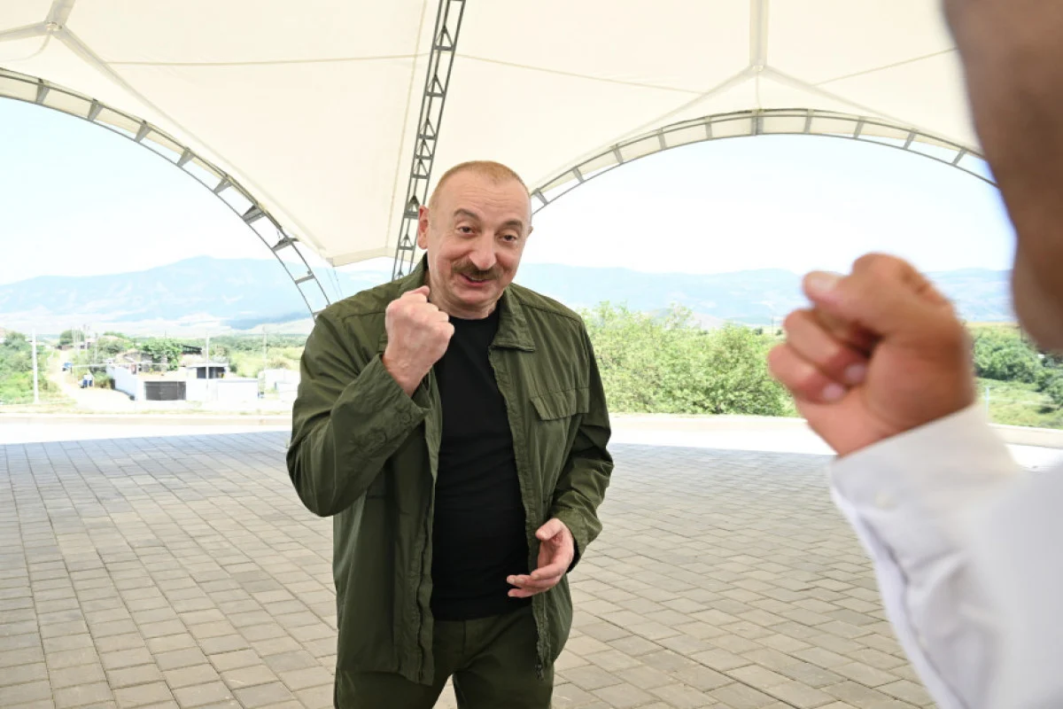 Aliyev yumruq