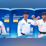 Bnfjphqqrh1z747ln9lbavyxnxlwpjvkzhufqn9y 825