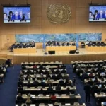 Bmt insan hquqlar uras