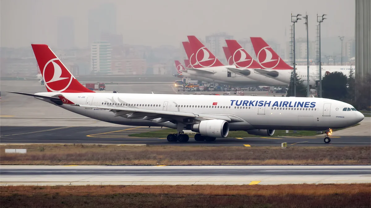 Turkish airlines, tc joe, airbus a330 303 (39244511204) (cropped)